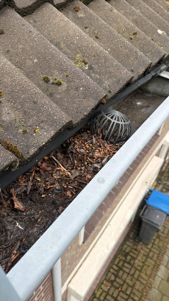 Verstopte dakgoot met bladeren en mos voor reiniging